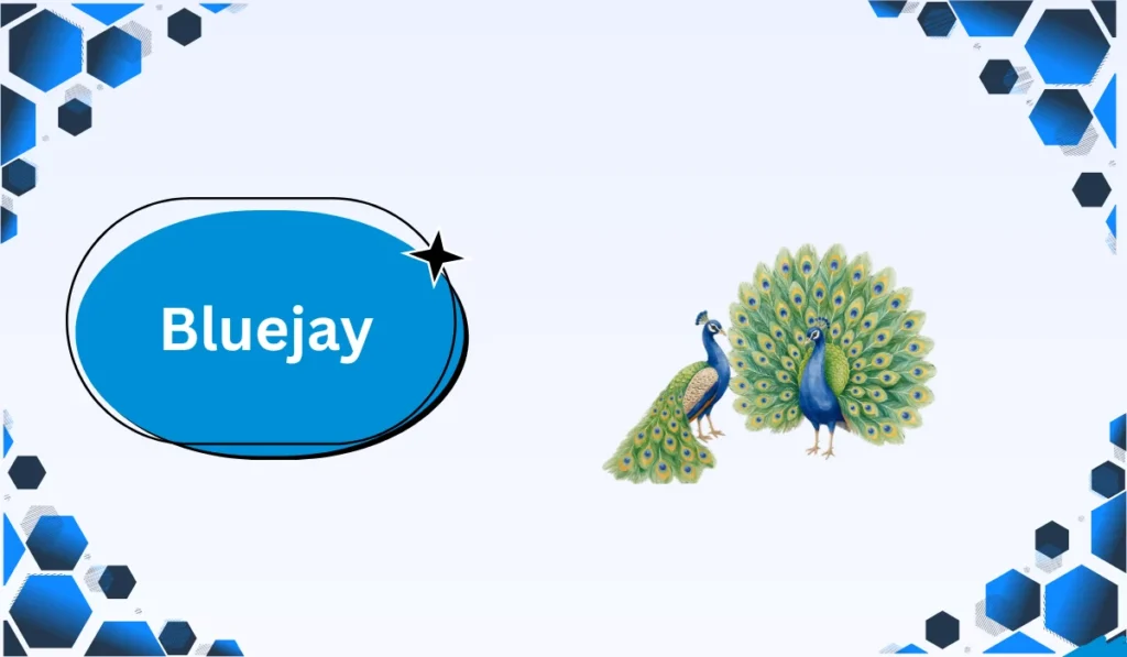 Male and Female Peacock Names