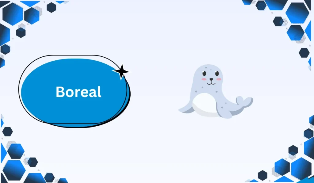Ocean and Arctic Seal Names for a Strong Sense of Place